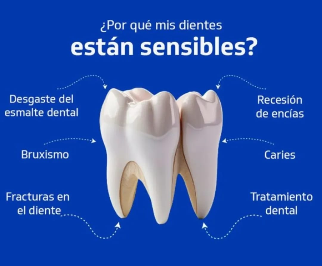 Virtual Assistants Pro